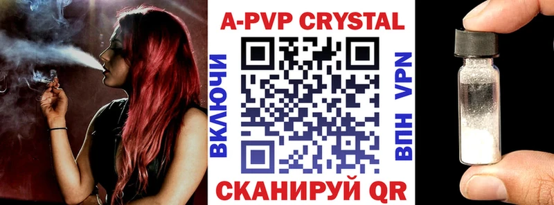 Альфа ПВП СК Новодвинск