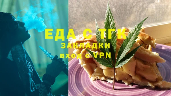 хмурый Алексин