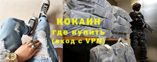 хмурый Алексин