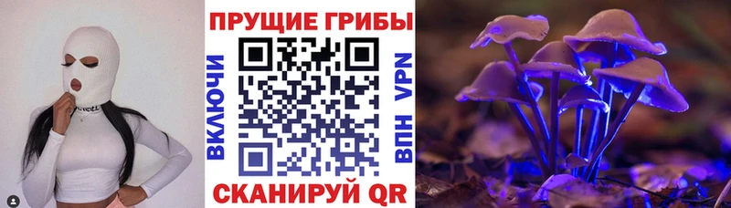 Псилоцибиновые грибы Magic Shrooms  Новодвинск 