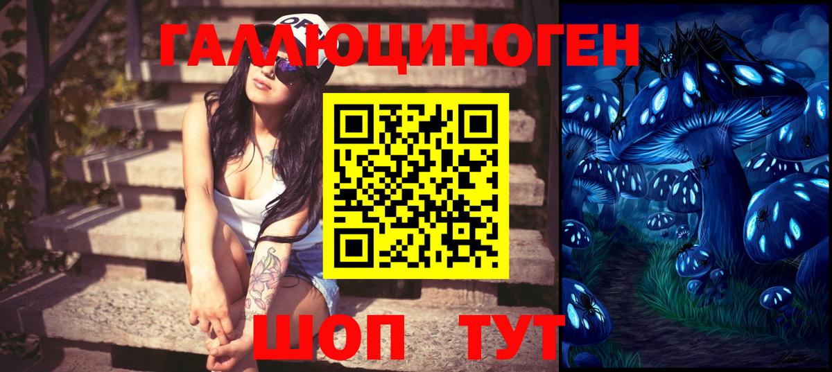 Новодвинск  Псилоцибиновые грибы Psilocybine cubensis  Вход с VPN 
