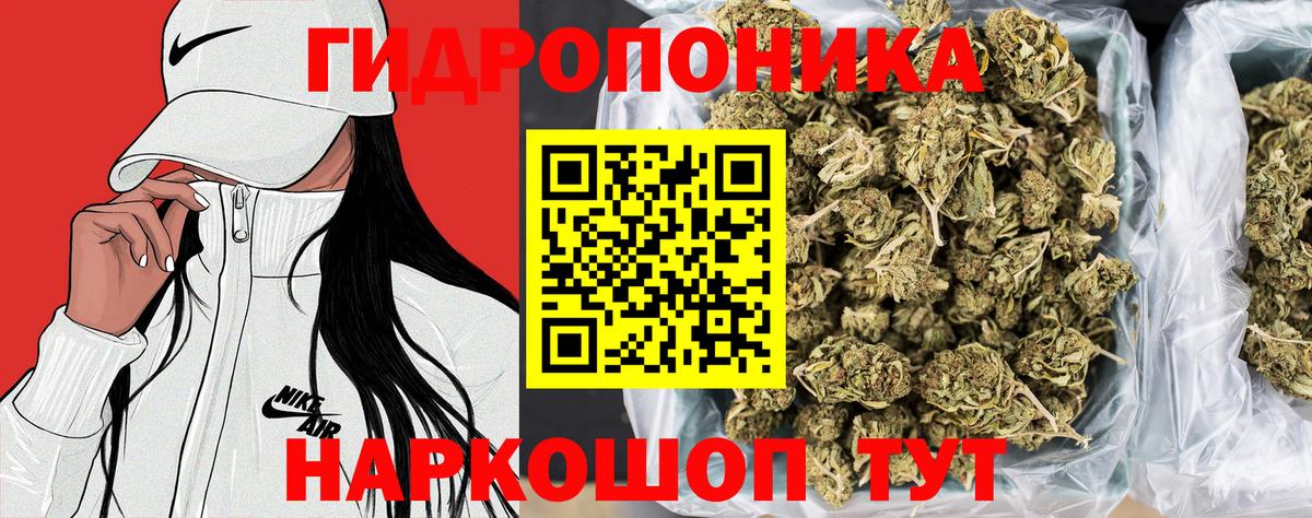 Конопля OG Kush  Канабис тримм  Вход с VPN  Новодвинск 
